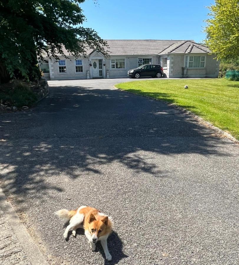 Graiguenamanagh Homestay Exterior photo